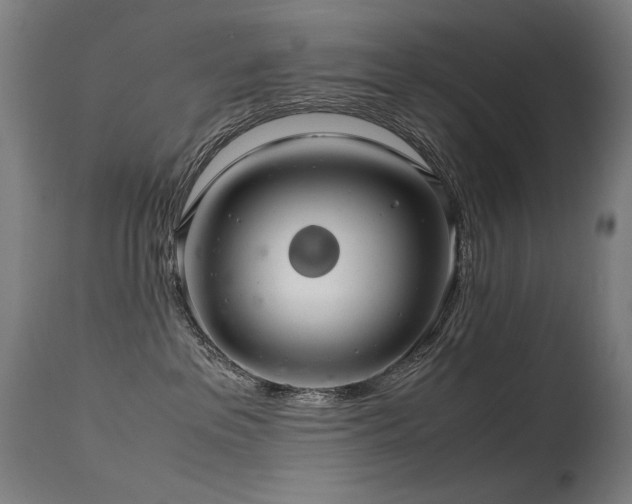 X0000115640237200911101523