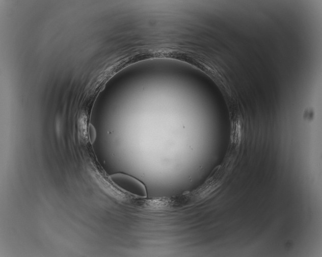 X0000115640238200911101523