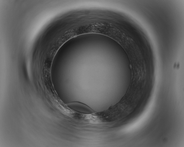 X0000115640239200911101523