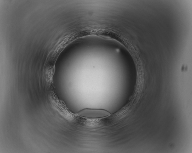 X0000115640240200911101523