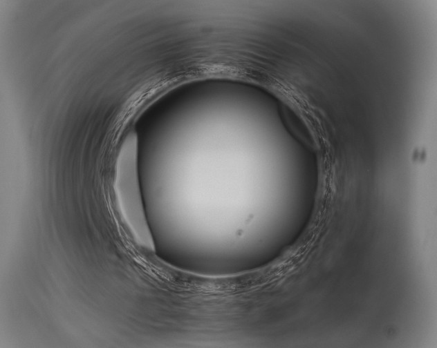 X0000115640241200911101522