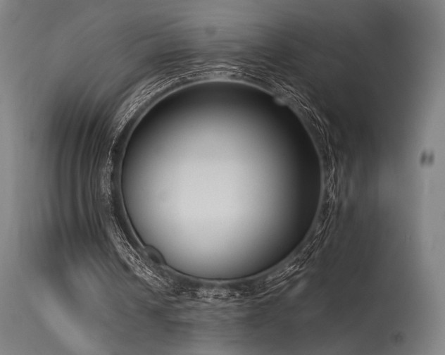 X0000115640242200911101522