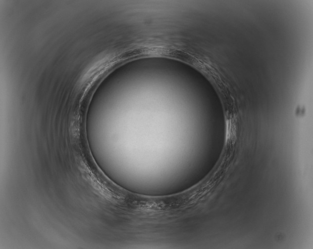 X0000115640243200911101522