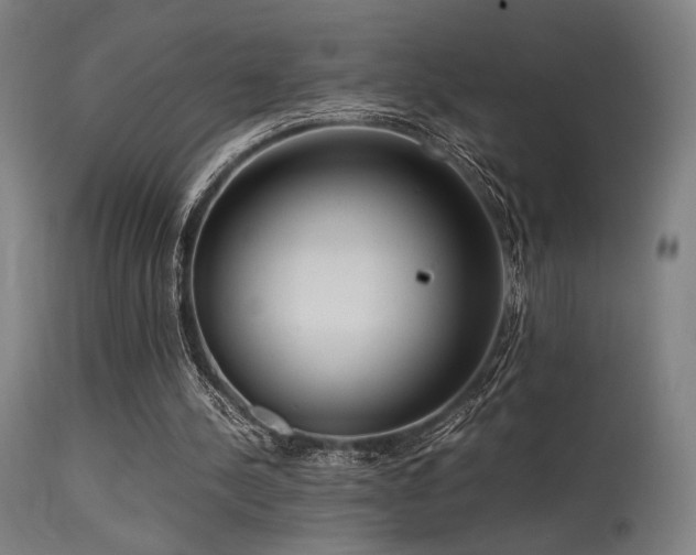 X0000115640244200911101522