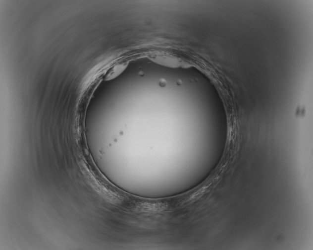 X0000115640245200911101523