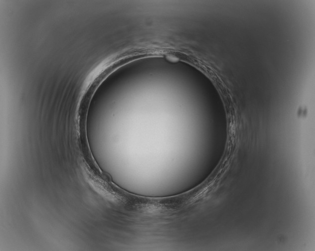 X0000115640246200911101523