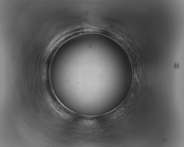 X0000115640247200911101523
