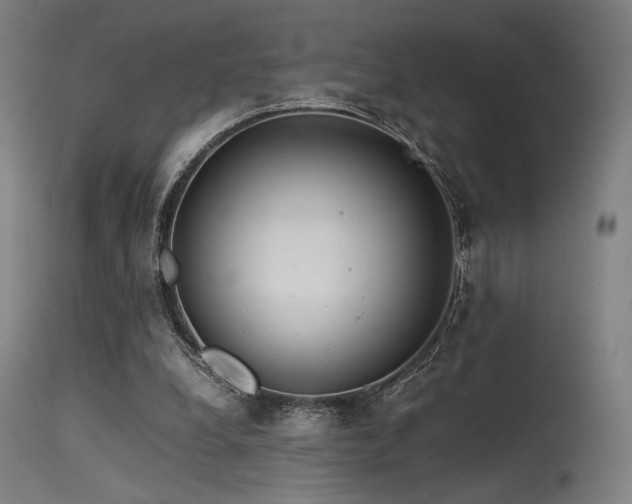 X0000115640248200911101523