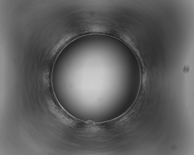 X0000115640249200911101523