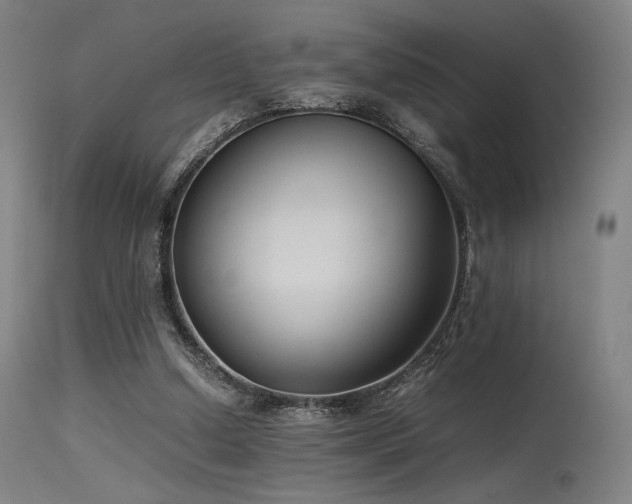X0000115640250200911101523