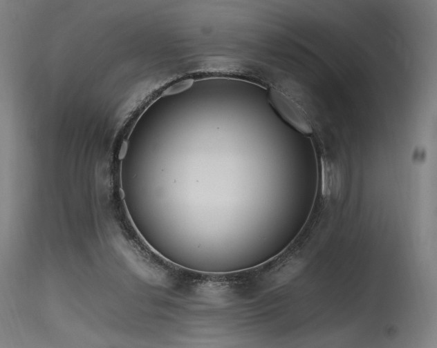 X0000115640252200911101523