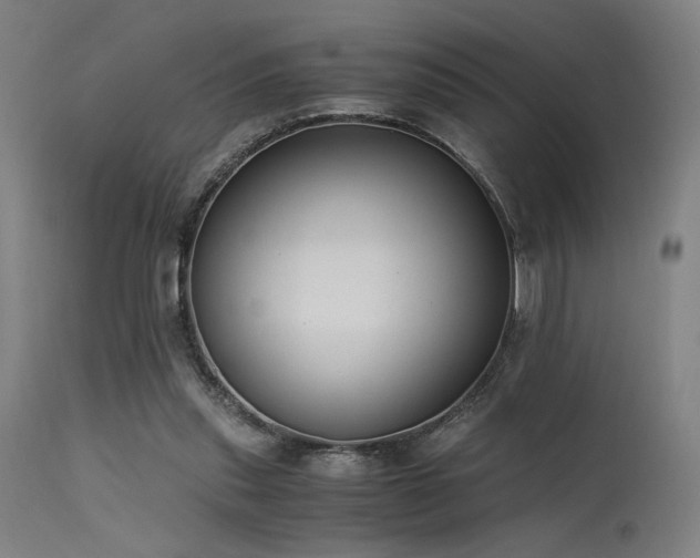 X0000115640253200911101523