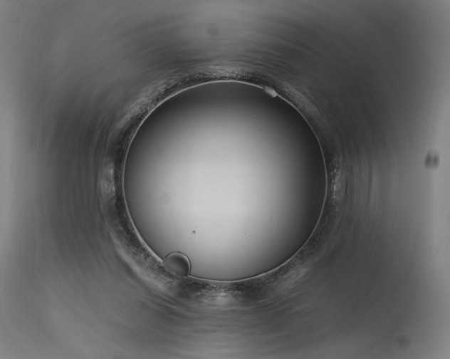 X0000115640254200911101523