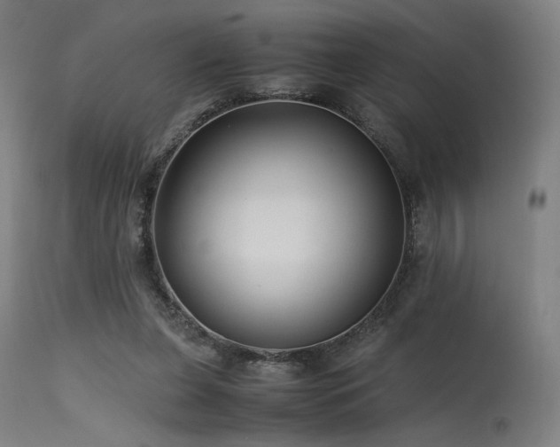 X0000115640255200911101523
