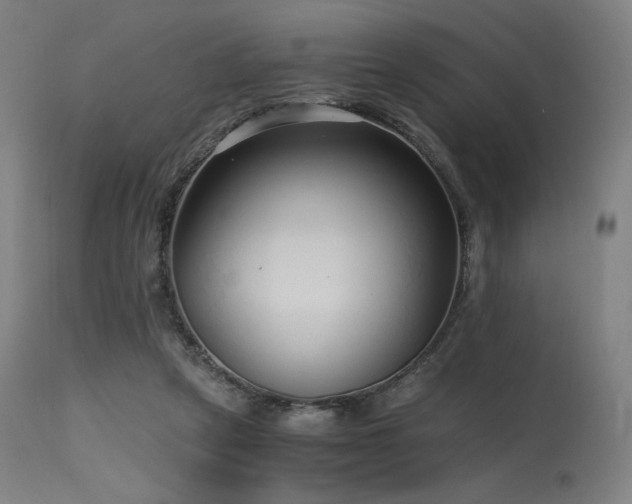 X0000115640257200911101523
