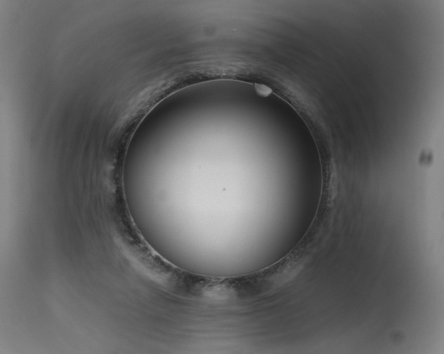 X0000115640258200911101523