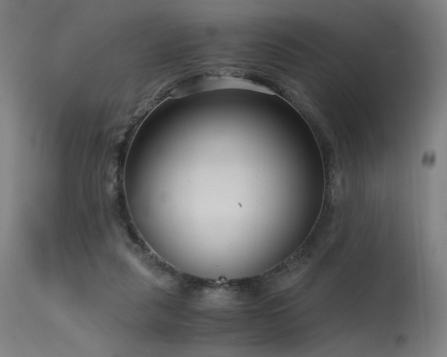 X0000115640259200911101523