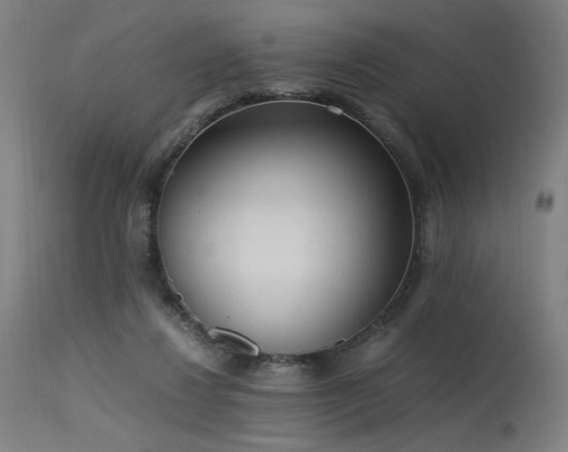X0000115640260200911101523