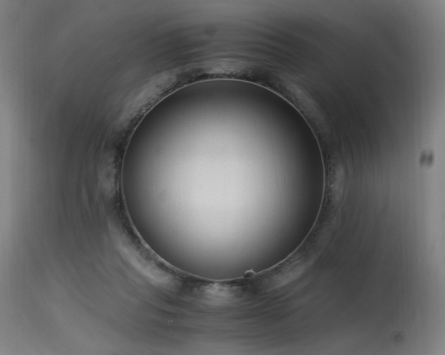 X0000115640261200911101523
