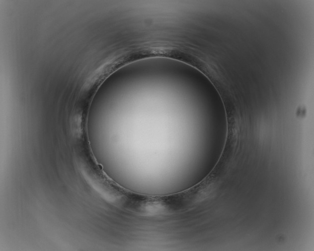 X0000115640262200911101523