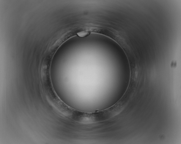 X0000115640263200911101523