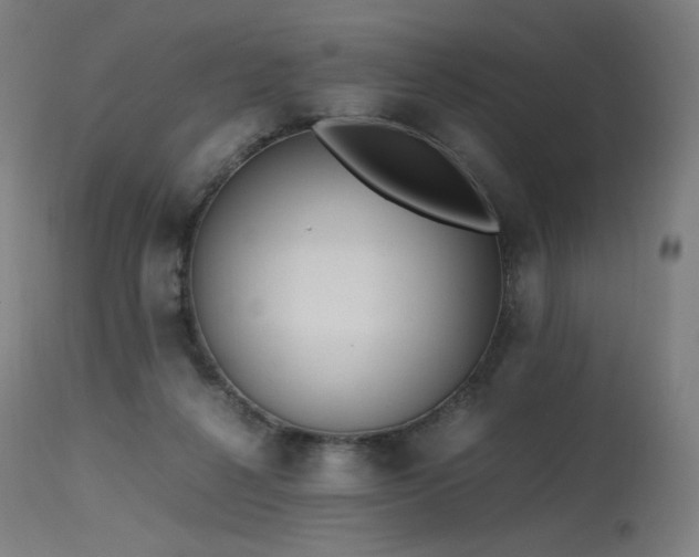 X0000115640264200911101523