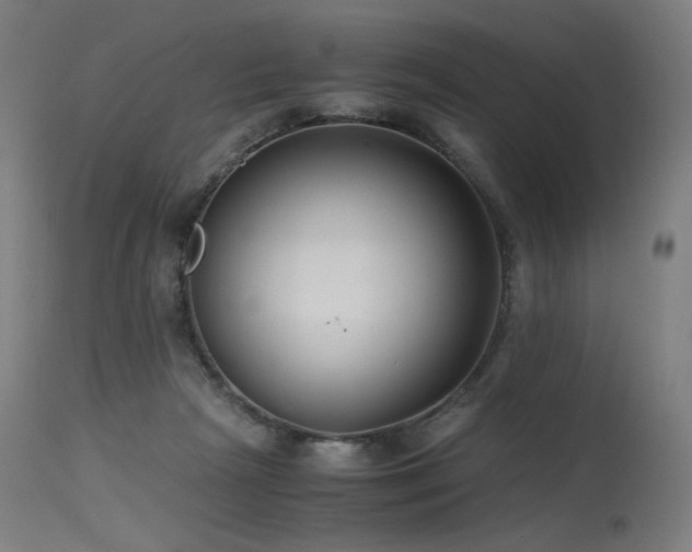 X0000115640265200911101523