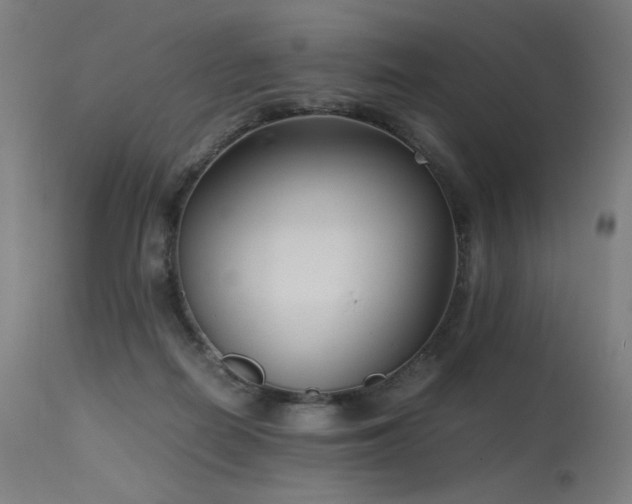 X0000115640266200911101523