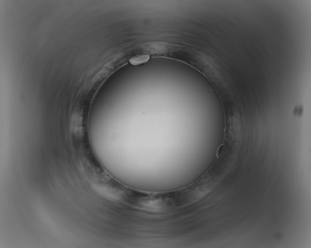 X0000115640267200911101523