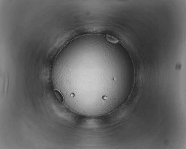 X0000115640268200911101523