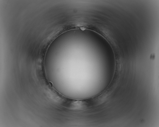 X0000115640269200911101523