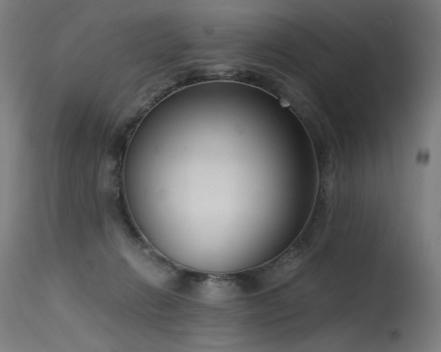 X0000115640270200911101523