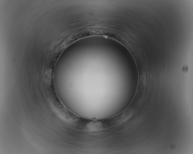 X0000115640271200911101523