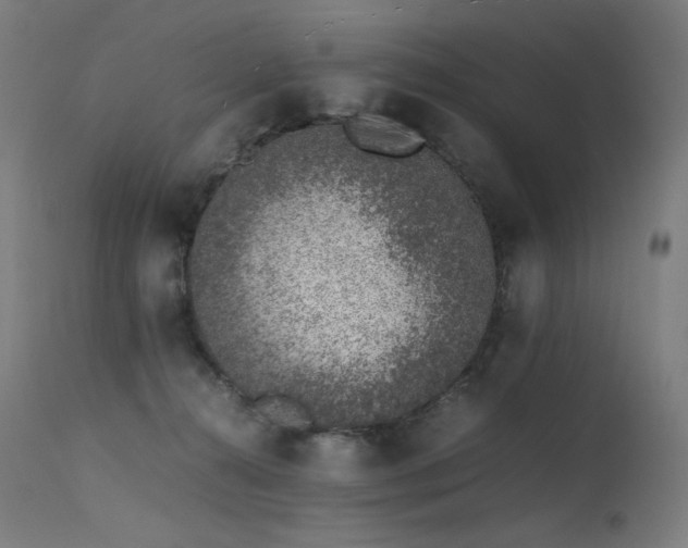 X0000115640272200911101523