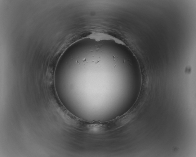 X0000115640273200911101523