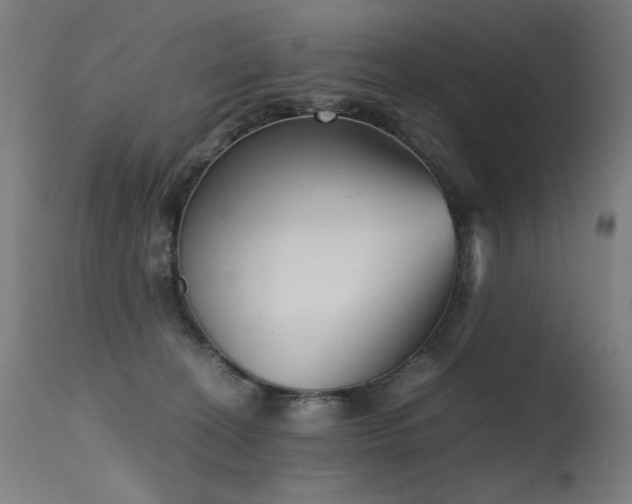 X0000115640274200911101523