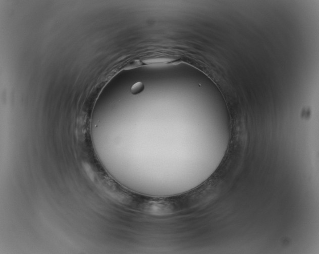 X0000115640275200911101523