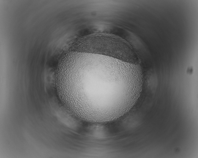 X0000115640276200911101523