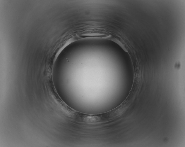 X0000115640277200911101523
