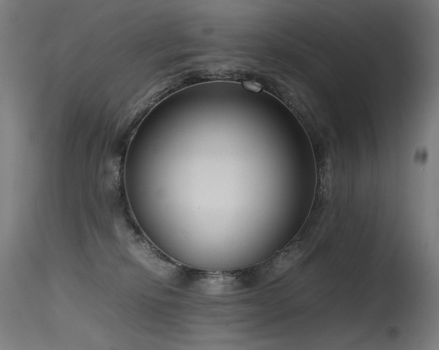 X0000115640278200911101523