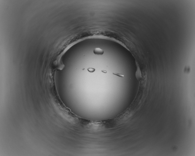 X0000115640280200911101523