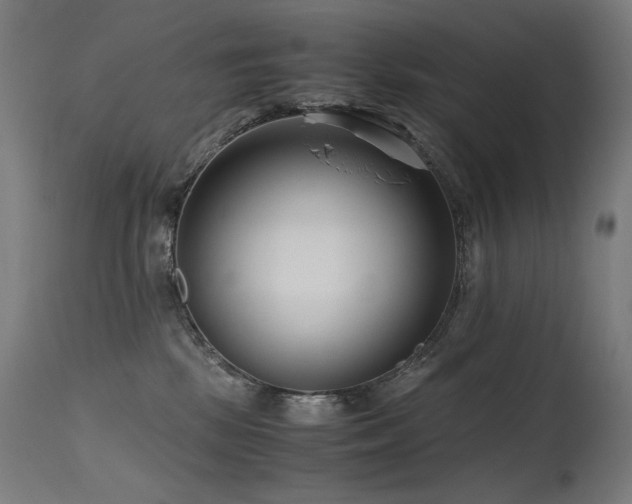 X0000115640281200911101523