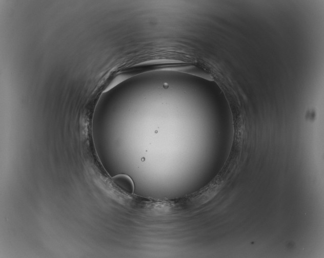 X0000115640282200911101523