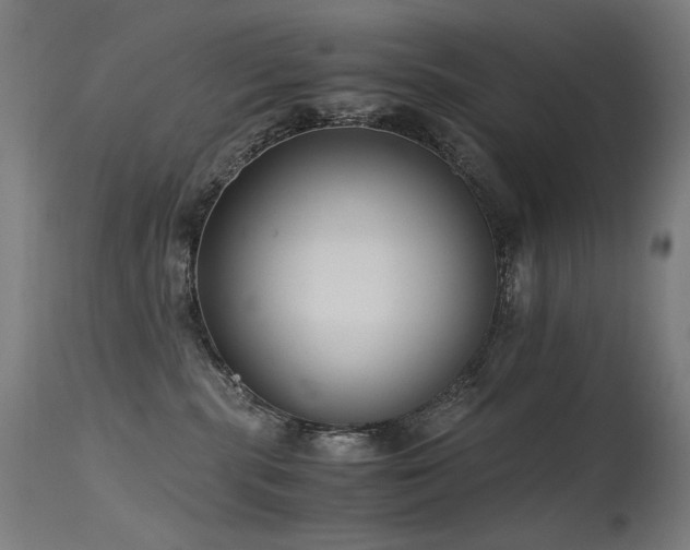 X0000115640283200911101523