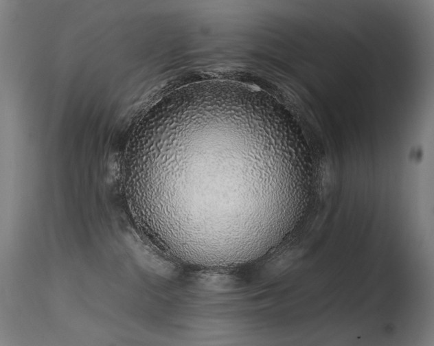 X0000115640284200911101523