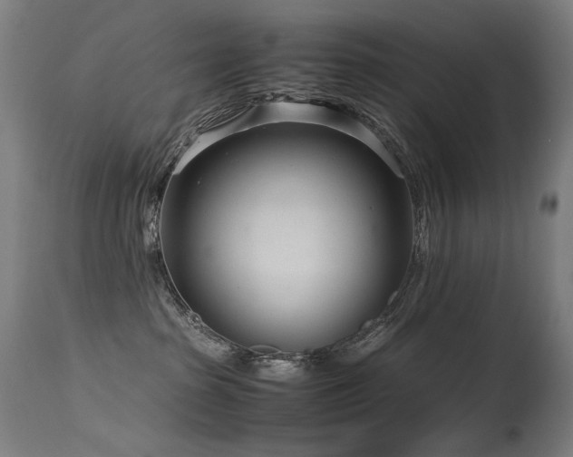 X0000115640285200911101523