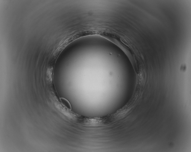 X0000115640286200911101523