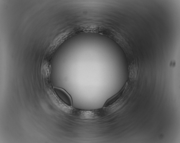 X0000115640287200911101523