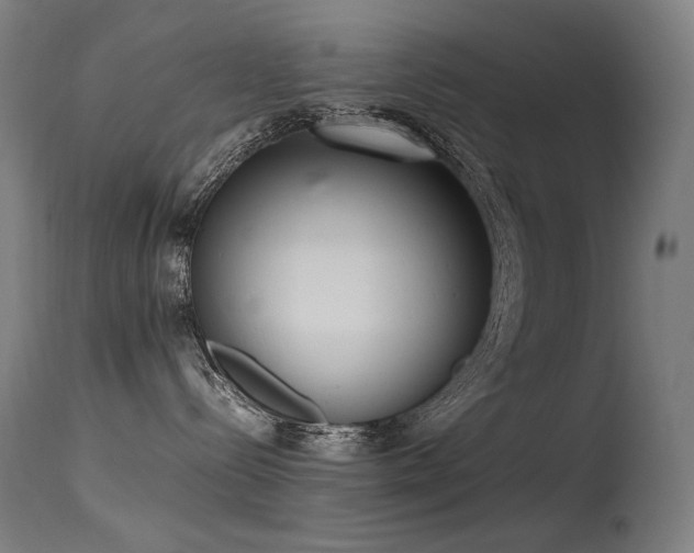 X0000115640288200911101523
