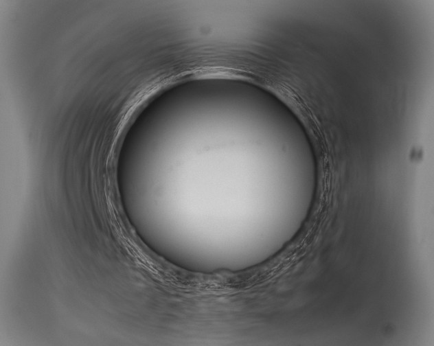 X0000115640289200911101522